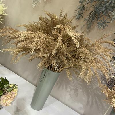 China Large Natural Beautiful Pampas Grass Durable Decorative Decoration For Wedding Flower Christmas Valentine Bag Halloween Easter for sale