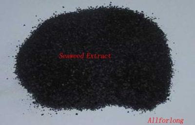 China Fertilizante orgánico fresco soluble de la alga marina para no. agrícola 977001-75-4 de CAS en venta