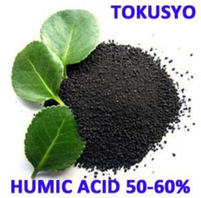 China Lawn Gardening Organic Guano Fertilizer , Raw Materials Humic Acid for sale