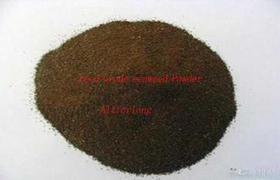 China Yellow - green Pure Natural Organic Seaweed Powder Food Supplement CAS NO.3351-86-8 for sale