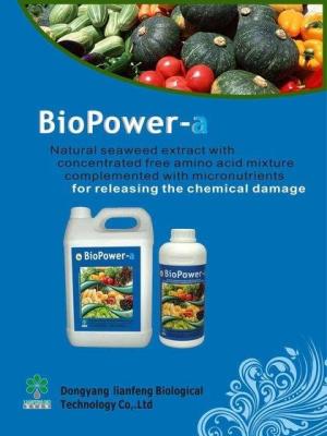 China BioPower-a Free Amino Acide Seaweed Fertilizer for sale