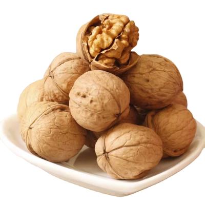 China Wholesale Dried China Xinjiang Natural Organic Dried Fruit Nuts Kernel Nuts for sale