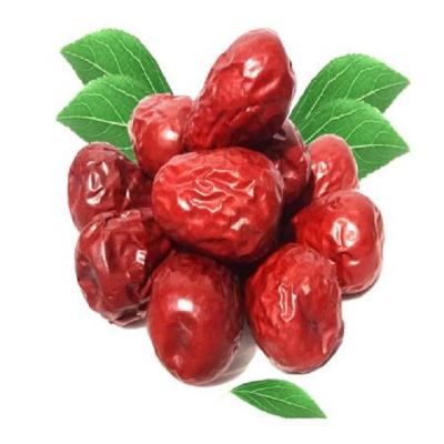 China Good For Health Organic Dried Jujube Jujube Xinjiang Jujube Health Fruit Organic Food Fresh Xinjiang Red Dates for sale