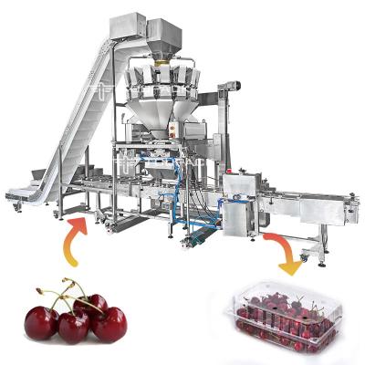 China Linear Automatic Filling Machine Cherry Blueberry Strawberry Tray Box Packaging Machine Te koop