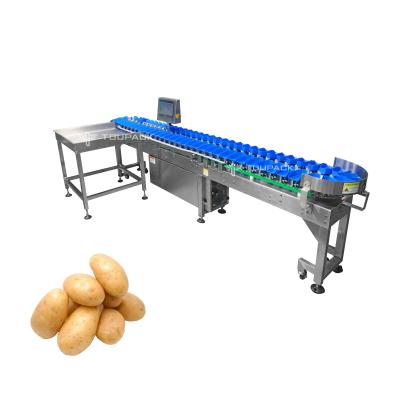 China Stainless Steel Tomato Garlic Onion Sorting Machine Potato Grading Size Grader Machine Vegetable Weight Sorting Maine for sale