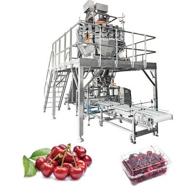 China Automatic Fruit Vegetable Carrot Citrus Raspberry Nectarines Tray Horizontal Packing Packaging Machine for sale