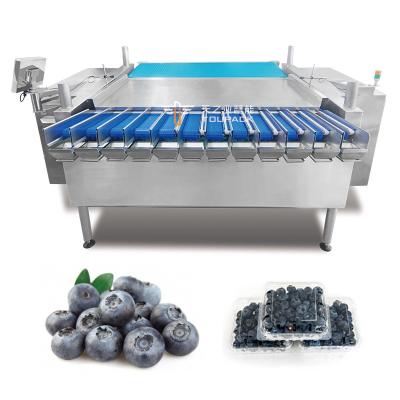 China Automatic Passion Fruit Kumquat Winter Jujube Plastic Box Packaging Machine Blackberry Weighing Filling Packaging Line for sale