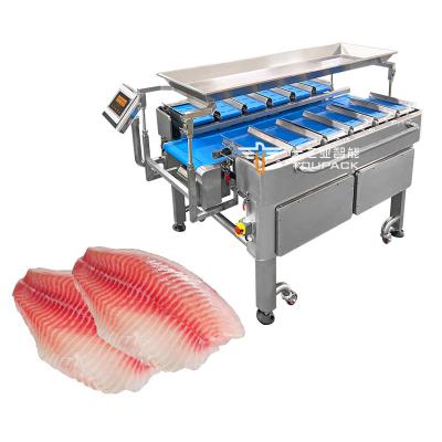 China Multi-Function Combination Weigher Scale Fixed Weight Conveyor Belt Packing Machine for Food New Generation Conveyor Belt Scale for sale