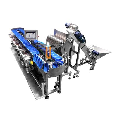 China Conveyor Fish Fruit SUS304 1000g Weight Sorting Machine for sale