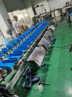 China 1000g Vegetable Fish SUS304 Fruit Multihead Weigher for sale