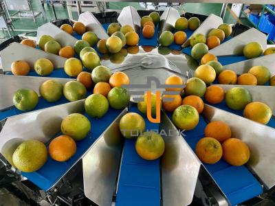 China Oranges Food Grade 5.0L 14 Head Multihead Weigher for sale