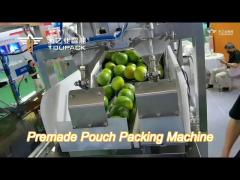 semi automatic net packaging machine green lemon fruit vegetable mesh bag package equipment