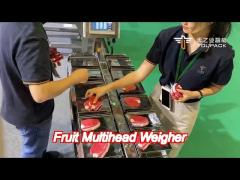 ss304 desk top fruit multihead weigher 12 head weighing scale