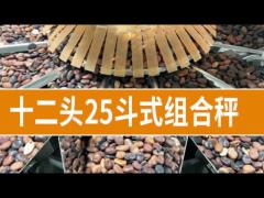 12 Head Multi Head Weighing Machine For Nuts Candy