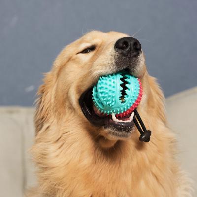 China 2022 Viable New Design Dog Sucker Pull Resistance Bite Leakage Ball Training Ball Toy for sale