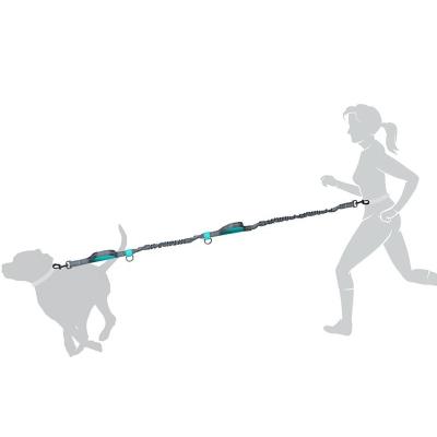 China Customized Multi Function Running Thoughtful Adjustable Rope Retractable Collar Harness Adjustable Walking Belt Hands Free Dog Leash for sale