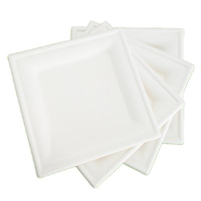 China 6/6.75/7/8.75/9/10/12 Inch Paper Pulp Sugarcane Bagasse Disposable Eco-Friendly Round Biodegradable Plate for sale