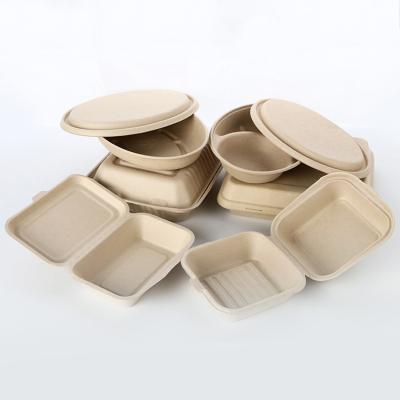 China Disposable Custom Biodegradable Sugar Cane Bagasse Packaging Disposable Clamshell Lunch Box for sale