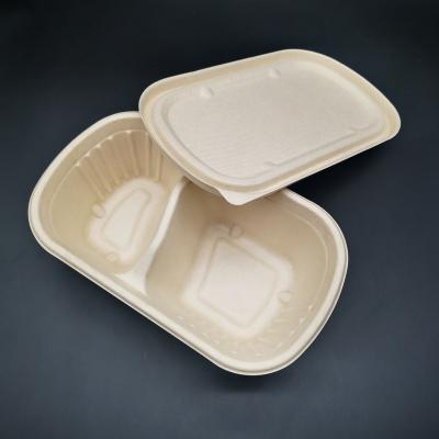 China Waterproof 2 Compartment Bagasse Bento Box Restaurant To Go Container for sale