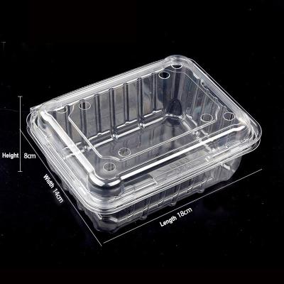 China Model-500g Recyclable Food Grade Pet Rectangle Plastic Disposable Clamshell Transparent Breathable Fruit Box for sale