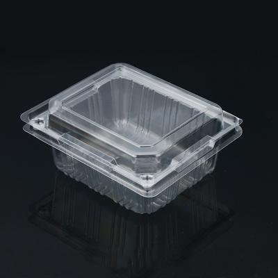 China Recyclable Wholesale Clear Plastic Container Fruit Packing Container Salad Containers for sale