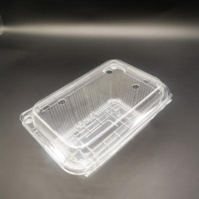 China Disposable Rectangular Clear Clamshell Fruit Packaging Plastic Box Disposable for sale