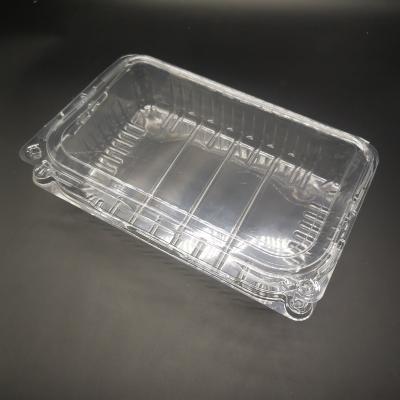 China OPS Disposable Large Size Rectangular Transparent Hinged Containers For Fruits for sale