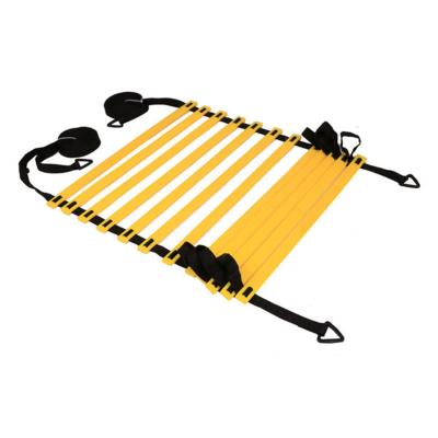 China Durable Custom Fitness Equipment Exercises Sports Speed ​​Training Agility Ladder And Cones Set for sale