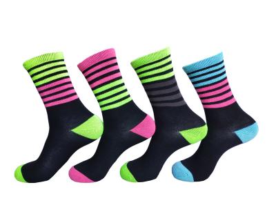 China 2019 sellwholesale FY19010 QUICK DRY warm custom cycling striped socks for sale