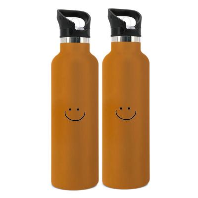 China Modern Standard Single Viable Mouth 750ml Stainless Steel Reusable Vacuum Insulated Flask Water Bottle With Straw Lid for sale