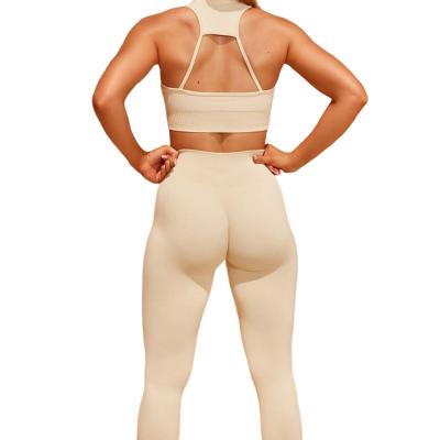 China Shanzai-Breathable Women Fitness Yoga Set Clothing Gym Clothing Seamless Business for sale