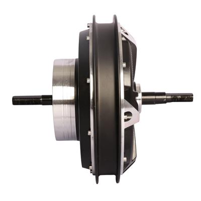 China Explosion Proof Hot Selling Scooter Hub Motor High Speed ​​Hub Motor For Spoke Wheel for sale