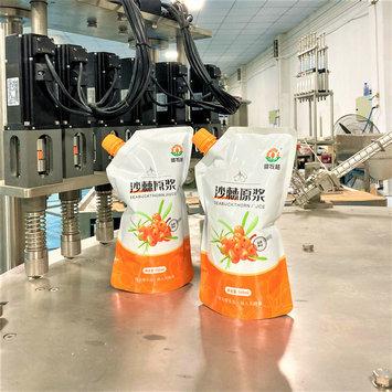 China Automatic Food Stand Up Doypack Sachet Packing Spouted Pouch Liquid Detergent Hand Soap Filling And Capping Machine for sale