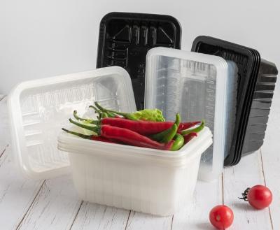 China WN- Recyclable Plastic PP Food Container Tray for sale