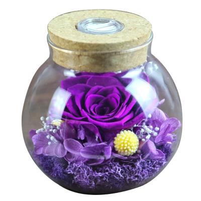 China Maintain Up To 3 Years Preserved Forever Real Eternal Roses In Round Glass Dome Lasting Bloom For Back To School Thanksgiving for sale