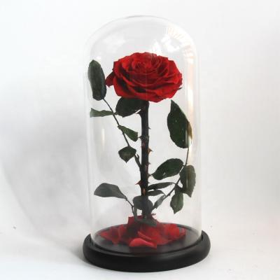 China Hold up to 3 years real everlasting flower preserved roses 20 cm in glass dome in gift box custom logo for valentine christmas for sale