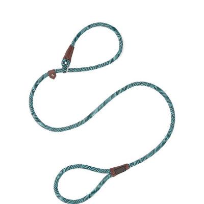 China Sustainable Adjustable Mountaineering Buckle Slip Lead for Medium Dogs, Braided Lead for sale