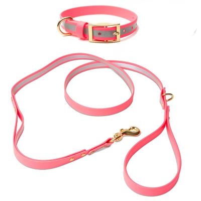 China Personalized Waterproof Reflective Dog Collar Leash For Outdoor Walking Running Hiking Camping for sale