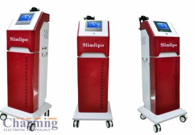 Chine Cavitation ultrasonique de liposuccion amincissant le corps de machine Shapers pour des femmes à vendre