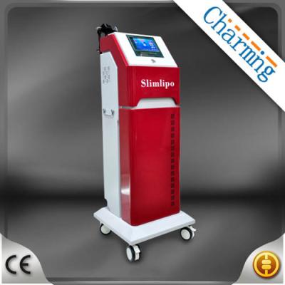 China R.E.T Korean latest fat reducing weight loss machine K7 with excellent result for sale