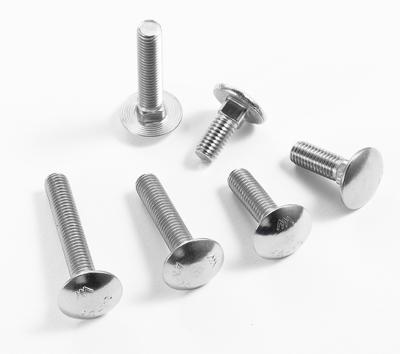 China Stainless Steel Round Neck Bolt Head Oval Square Square Carriage Bolt for sale