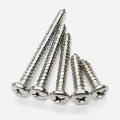 China General Industry High Quality Durable Using Various High Strength Screw Stainless Steel Self Tapping Screw for sale