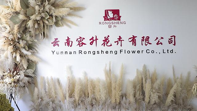 Verified China supplier - Yunnan Rongsheng Flower Co., Ltd.