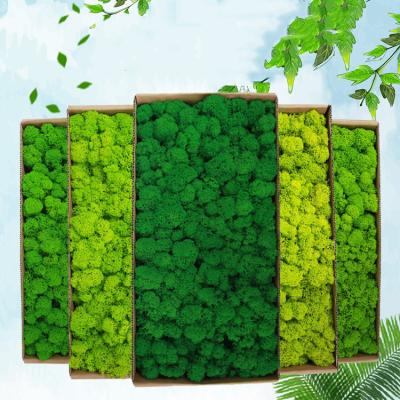 China Eco-Friendly B-5 Amazon Hit Foam Wall Wedding Decoration Home Supplies Decorative Christmas Decor Flowers for sale