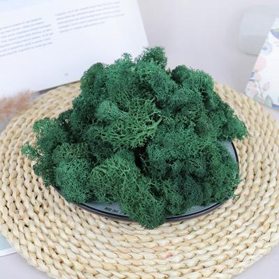 China YS-035 Moss Panel Decorations Colorful High Quality Wholesale 100g Handmade/Extended Storage Time Evaluate Real Contact Moss Wall Panels For Decor Preserved Moss for sale