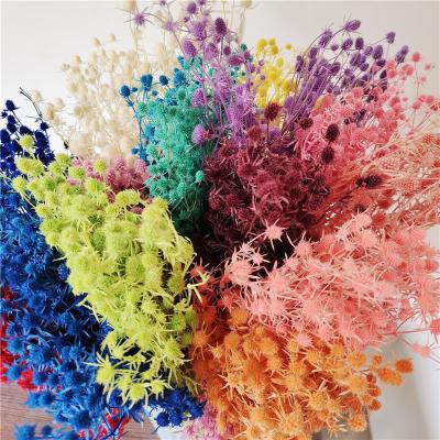 China New Valentine simple and elegant popular B17-X Amazon fruit dried flowers to wedding decorative home flower vase for sale