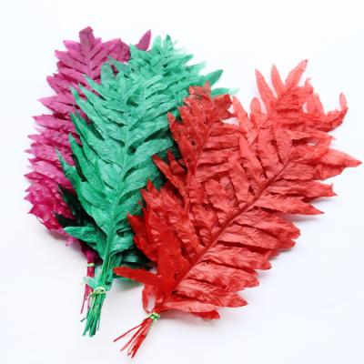 China GH-017 Natural Party Plant Flowers Preserved Flowers Dried Flowers Fern Leaves Wedding Decoration Wholesale for sale