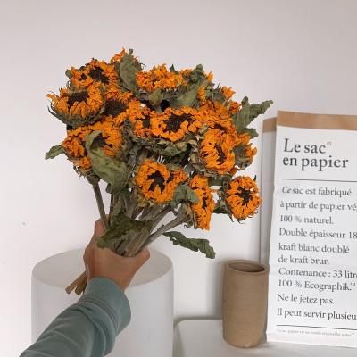 China A-65 2021 New Arrivals Amazon Amazon Durable Natural Decorative Flowers Dried Flower Artificial Flowers Sunflower Home Decoration for sale