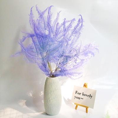 China Contact JY-3 2021 Natural Hot Selling Natural Plants Preserve Real Flower Leaves Preserve Fern Leaves For Home Decor Wedding Decoration for sale