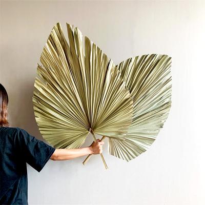 China Green near nature 2021 AX38 Amazon Amazon wedding supplies decorative flowers and natural dry palm leaf garlands of flower wedding decoration for sale